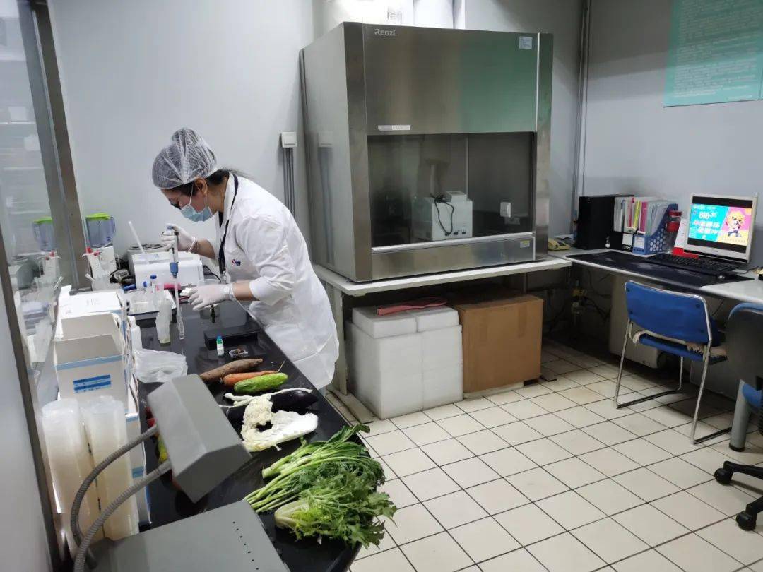 太平食品检测实验室装修方案